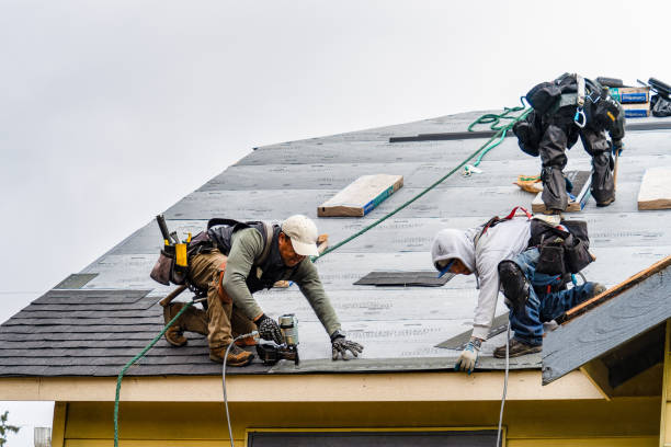 Professional Gutter Installation technician working in Maple Lake, MN